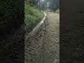 ÁGUA VAZANDO A VONTADE NA ESTRADA DO SANGRILLA E MORADORES SEM ÁGUA