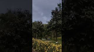 Download lagu Agnes Monica - Rindu #park #taman #liriklagu #agnesmonica #rindu mp3 Download lagu Agnes Monica - Rindu #park #taman #liriklagu #agnesmonica #rindu mp3