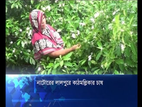 লোকসানি খাত হয়ে উঠেছে চিনি শিল্প