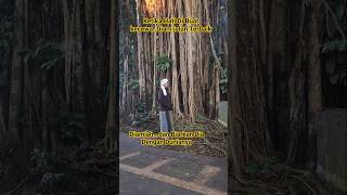Download lagu Don't Waste Your Energy. #notimportant #keepyourspiritsup #staystrong #bbs #healthy #shortsvideo mp3 Download lagu Don't Waste Your Energy. #notimportant #keepyourspiritsup #staystrong #bbs #healthy #shortsvideo mp3