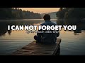 I Can Not Forget You Lyrics Video English Sad Song Trending 2025