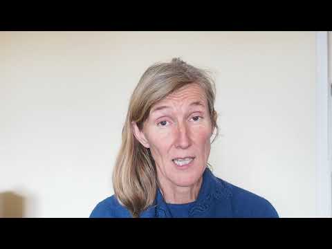 differentiel autiste ou hypersensible 8 Le cerveau hypersensible