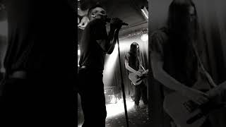 The Black Queen—Distanced (Sydney)