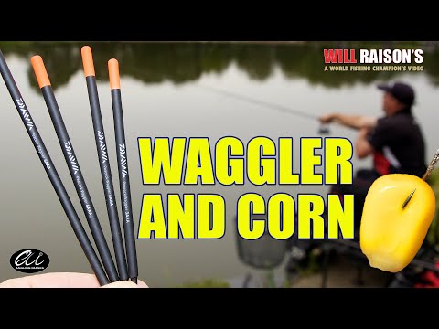 Float Fishing Waggler And Corn Match Tactics | Will Raison Fishing
