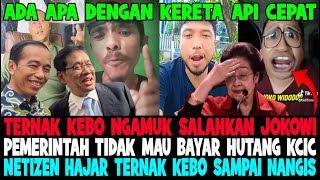 Uproar..!! BULL FARMERS ARE ANGER & BLAME JOKOWI 😱 GOVERNMENT REFUSES TO PAY HIGH-SPEED TRAIN DEBT