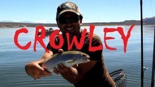 preview picture of video 'Crowley Lake Rainbow Trout Fall Fishing'