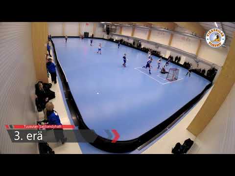 3.3.2019 Tikkurilan Tiikerit Sininen vs. Rangers Hawks : maalikimara