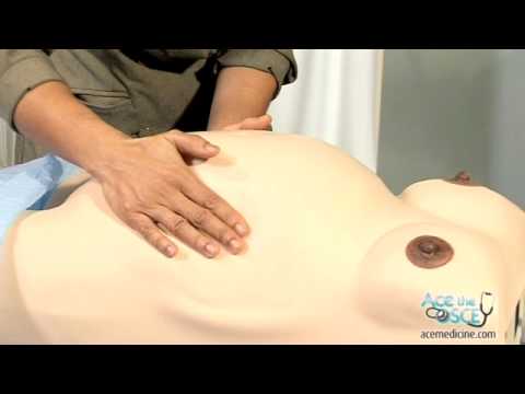 OSCE Clinical Skills -Pregnant abdomen
