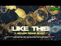 DJ PARTY LIKE THIS MELODY PENAK BLASS VIRAL TIKTOK