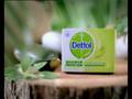 Dettol Herbal Soap