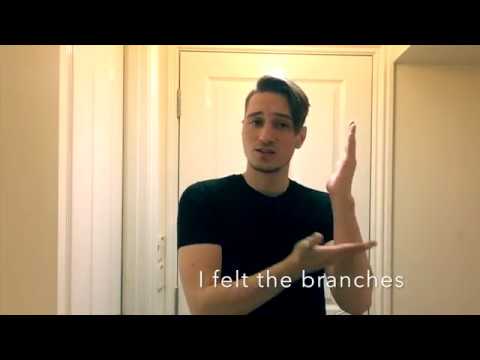 How to Sign Landing in BSL