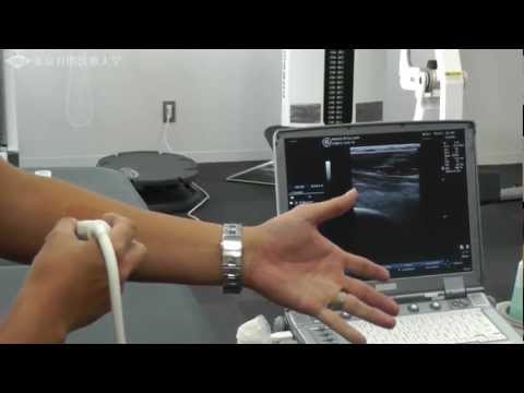 柔道整復学科で学ぶ超音波画像診断装置の使用方法