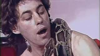 Boomtown Rats - Up All Night (1981)