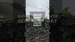 Download lagu SEMUA DILIHAT DARI SUDUT PANDANG SIMAYIT #hukumwaris #ilmuwaris #fiqih mp3 Download lagu SEMUA DILIHAT DARI SUDUT PANDANG SIMAYIT #hukumwaris #ilmuwaris #fiqih mp3