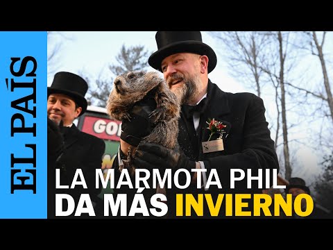 DÍA DE LA MARMOTA | Phil, la marmota de Pensilvania, pronostica seis semanas más de INVIERNO