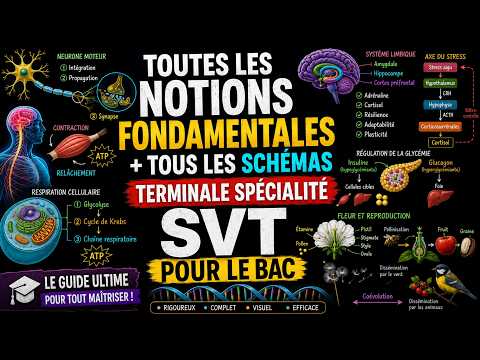 💥 SVT BAC : 100% des notions FONDAMENTALES à connaître + tous les schémas (Révision complète)