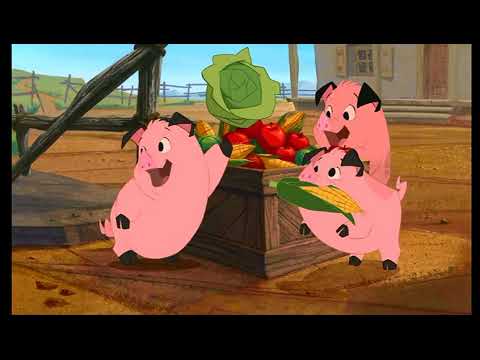 Home on the Range Magic Tricks