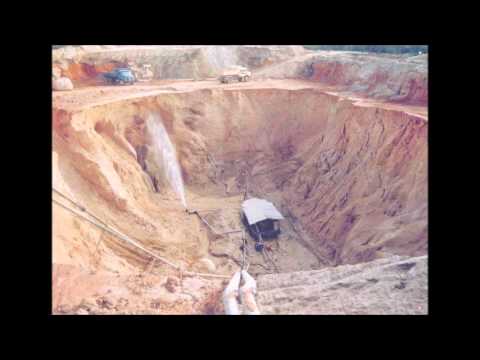 Biologia - O Ser humano e o meio Ambiente