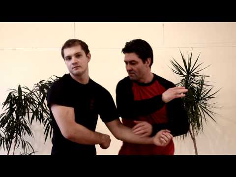 Wing Chun Kung Fu Demo Sifu Viktor Scheifele