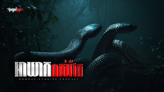 Download lagu អាឃាតពស់វែក | តំណាលខ្មោច | Domnal Stories Podcast | យប់ទី276 mp3 Download lagu អាឃាតពស់វែក | តំណាលខ្មោច | Domnal Stories Podcast | យប់ទី276 mp3