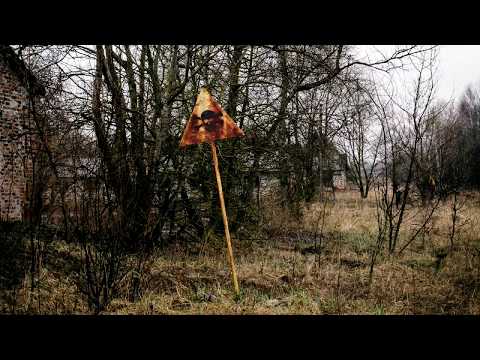 Alexey Omelchuk – Swamps of Despair