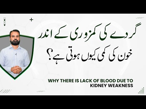 Gurday Ka Mareezo Mein Khoon Ki Kami Ki Wajohat | Symptoms of Blood Deficiency in Urdu
