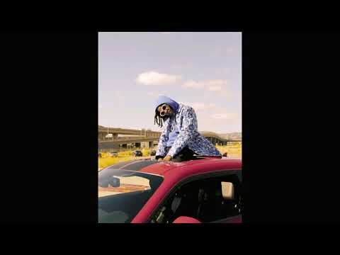 [FREE] Nef The Pharoah X Mac Dre Type Beat - "wylin'" | West Coast Type Beat (Prod. nick-rick)