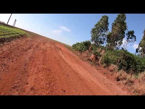 COMEÇA SE DESENVOLVER AS LAVOURAS DE SOJA NO PARANÁ - SABAUDIA PR. BR. !!!