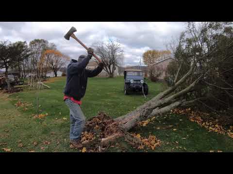 Storm damage cleanup