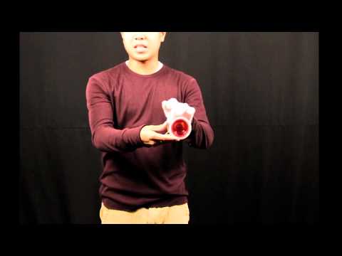 Slack Trapeze - Ben Conde Offstring Yo-Yo Tutorial #53