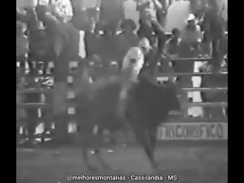 Cassius Clay Ferreira x Pedra 90 - Rodeio de Cassilândia #rodeio #rodeo