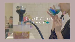 【ASMR】24歳OLがシーシャを作る動画【シーシャ】