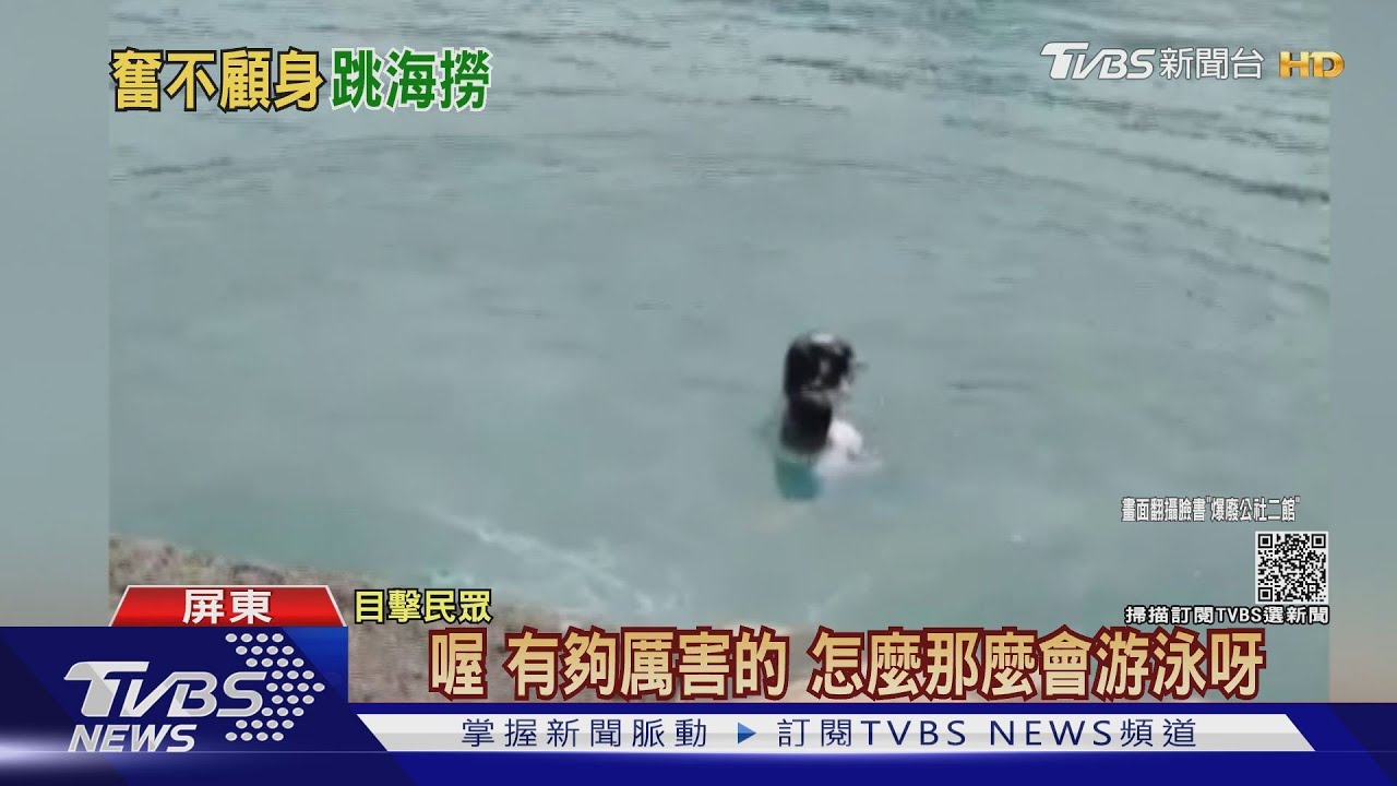 遊客背包落海　船公司員工秒跳海搶救博滿堂喝采