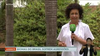 Miniatura do vídeo