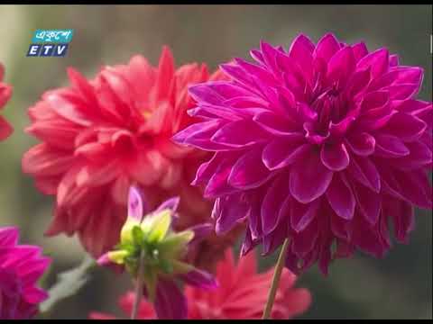 শীতের রুক্ষতা পেছনে ফেলে নবরূপে হাজির ঋতুরাজ বসন্ত