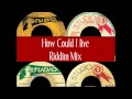 How Could I Live Riddim Mix 