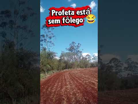 Reserva Barbacena-PR. Antes de São Pedro do Ivaí e Marisa Paraná. Será que tem onça?🙄😳🤔