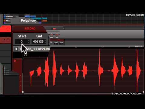 Maschine MK2 & Maschine Mikro DVDs Lesson:Sample in Sync