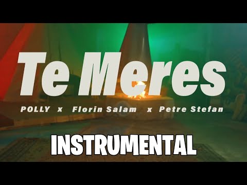 POLLY 🔝 Florin Salam 🔝 Petre Stefan - Te Meres (Instrumental)