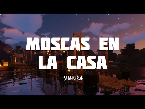 Shakira - Moscas en la Casa (Letra) Mis días sin ti