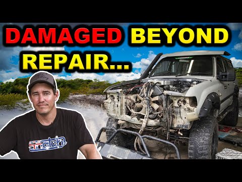 SOOTY DAMAGE REPORT – You won’t believe what we find... Is this the end of Sooty?