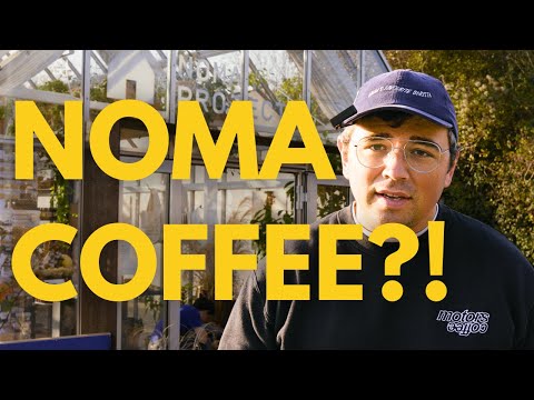 Noma Just Entered Specialty Coffee, so... I Visited