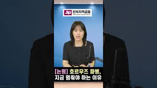 전북지역공동 논평 “호르무즈 파병 검토 멈…
