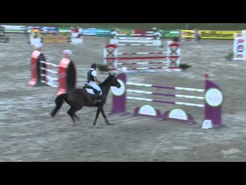 Neugschwent`s Lady Sandro Farrach 110715