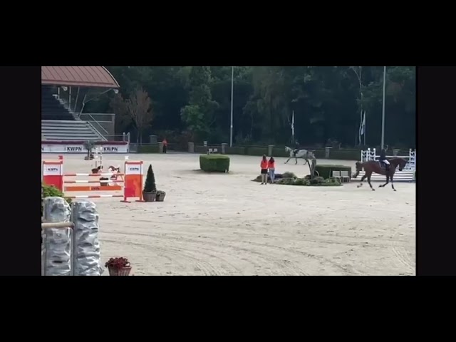 Jumping class CSI 1.45m jumping mare Joyterma with rider Rogier Linssen.