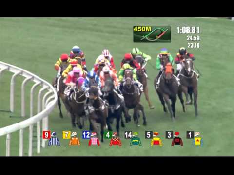 California Joy (Fastnet Rock x Laetitia)