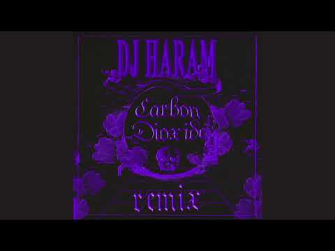 Video thumbnail for Carbon Dioxide (DJ HARAM Remix)