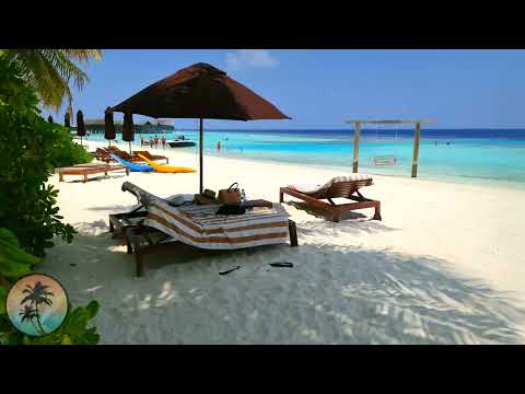 Lily Beach Resort MALDIVES 🌴 | Beach Villa 4K Room TOUR Vlog | South ARI | All Inclusive Resort