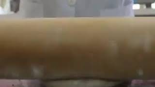 Unbelievable scene! A Brazilian scientists/reseacher making bread with Cockroaches!