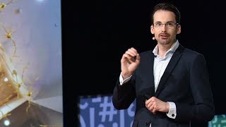 Are your brain's memories ever actually lost?